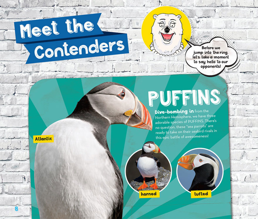 MICHAEL BYERS | PENGUINS VS. PUFFINS FOR NATIONAL GEOGRAPHIC KIDS